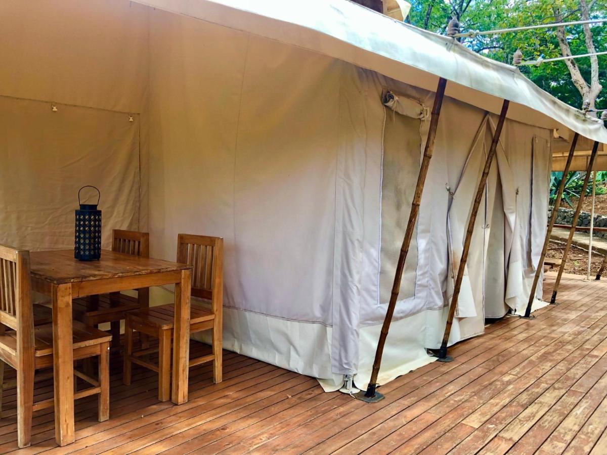 Hyla Nature Retreat Hotel San Jose Pinilla Bagian luar foto